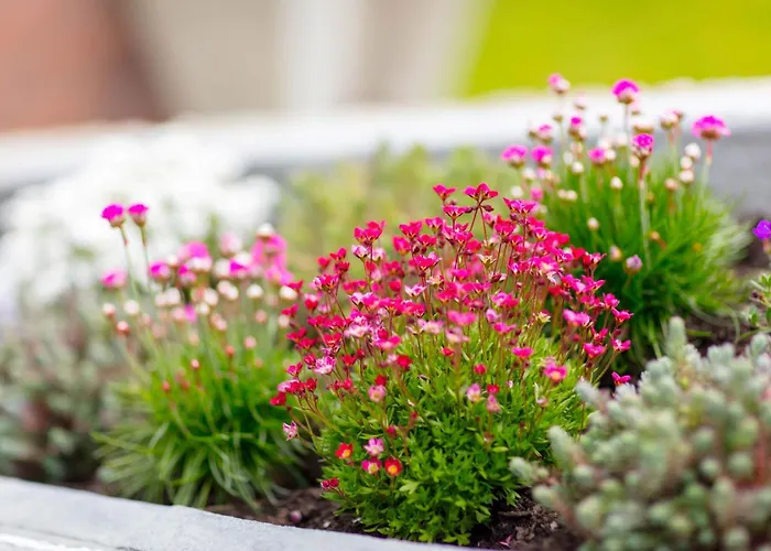 Cozy Up Strandsuite Apartamento Rettin